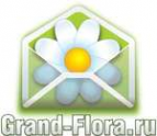 Логотип компании Доставка цветов Гранд Флора (ф-л г.Апшеронск)